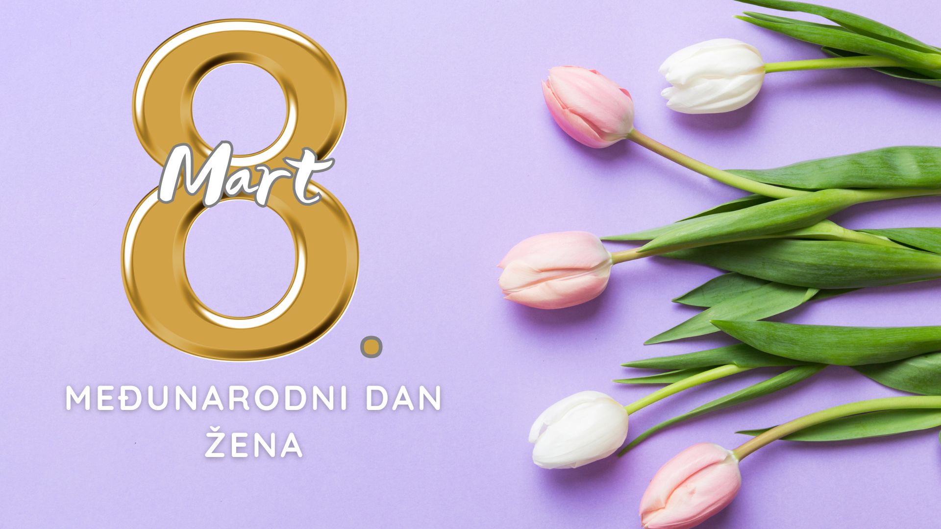 Ministar Velagić uputio čestitku povodom 8. marta – Međunarodnog dana žena